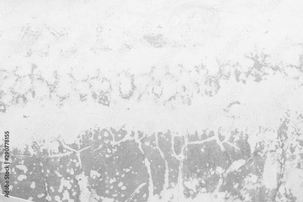 Fototapeta premium The background is white and gray. Used for background design.