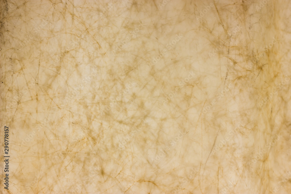 Obraz premium Brown background. With copy space.