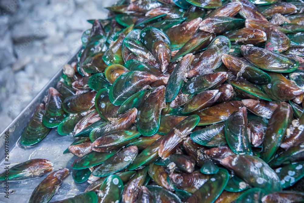 Mussel on ice in Thailand market ,seafood background ,seafood market ,raw food