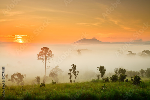 Misty morning sunrise at Thung Salaeng Luang National Park, Phetchabon, Thailand. Beautiful landscape of foggy sunrise in grassland savannah. Thung Salaeng Luang is grassland savannah in Thailand. 