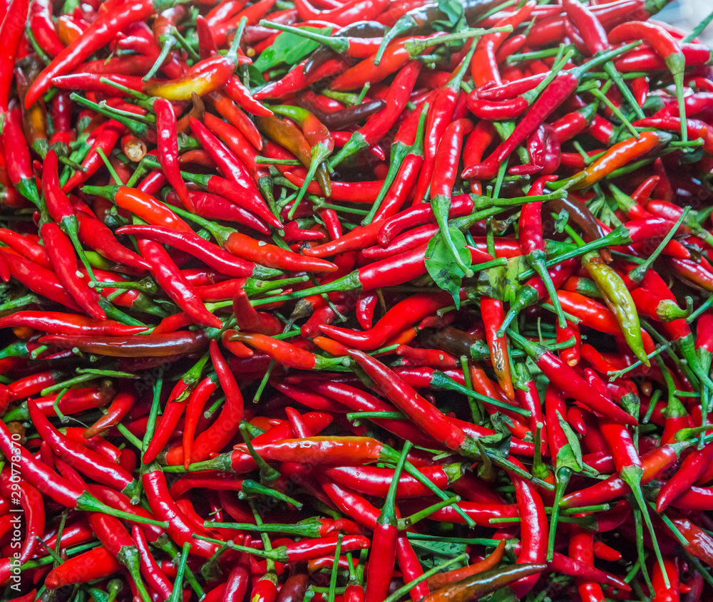 closeup red Thai chili peppers.