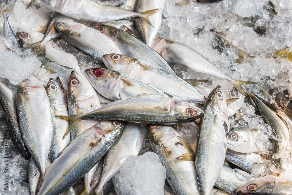 Fototapeta premium raw mackerel fish on ice in Thailand market ,seafood background ,seafood market ,raw food