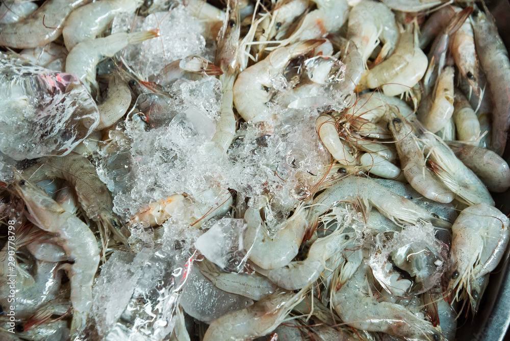 white shrimp on ice in Thailand seafood market, seafood background. white shrimp on ice in Thailand seafood market, seafood background.
