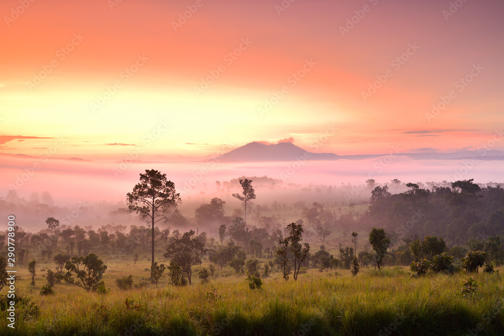 Misty morning sunrise at Thung Salaeng Luang National Park, Phetchabon, Thailand. Beautiful landscape of foggy sunrise in grassland savannah. Thung Salaeng Luang is grassland savannah in Thailand. 