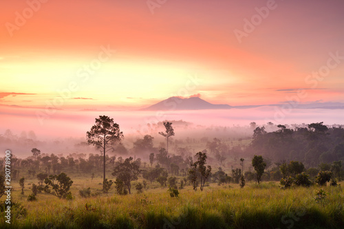 Misty morning sunrise at Thung Salaeng Luang National Park, Phetchabon, Thailand. Beautiful landscape of foggy sunrise in grassland savannah. Thung Salaeng Luang is grassland savannah in Thailand. 