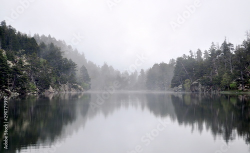 reflection of trees in lake