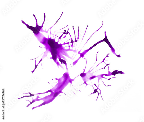  Purple paint splatter isolated on white background