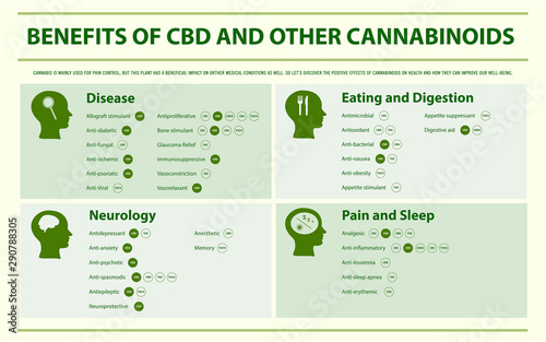 Benefits of CBD and Other Cannabinoids horizontal infographic illustration about cannabis as herbal alternative medicine and chemical therapy, healthcare and medical science vector.