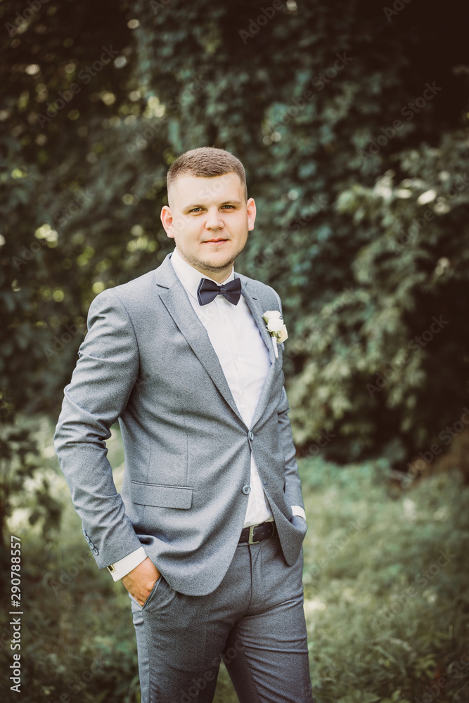 Handsome groom in suit and bow-tie, tinted Handsome groom in suit and bow-tie, tinted