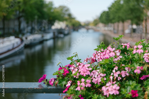 Flowers on the bridge above the canal in Amsterdam