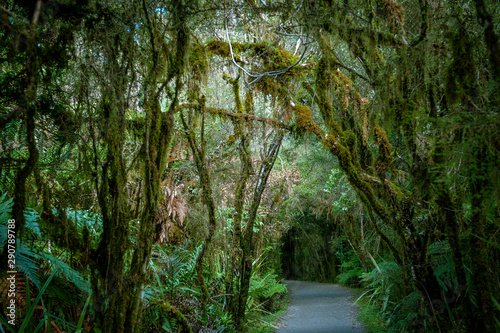 Minnehaha Walk￨nature study trial￨Te Wahipounamu￨The Place of Green Stone￨World Heritage in South West New Zealand
