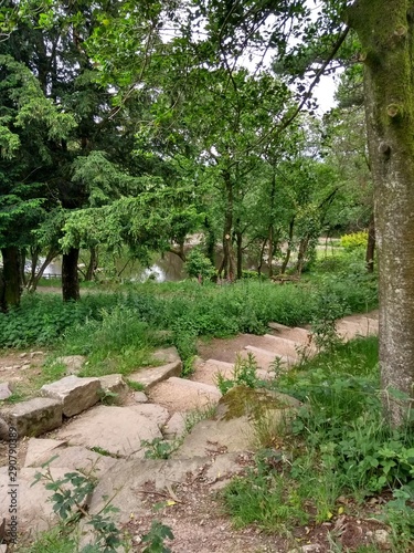 Stone path and steps