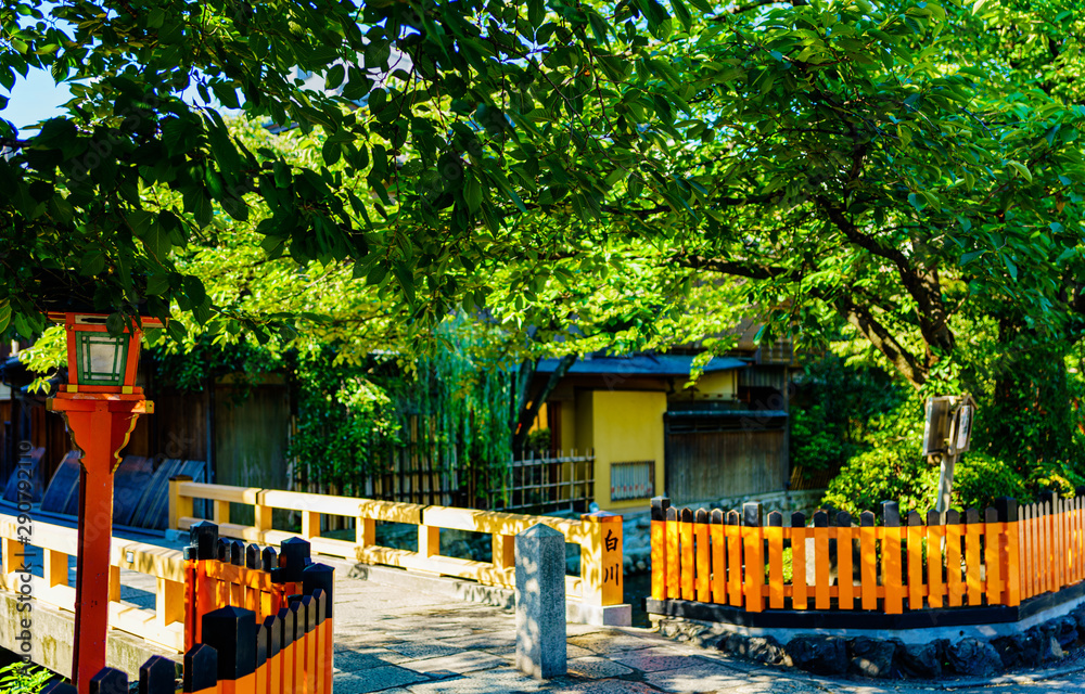 日本イメージ 古都 京都の繁華街の中心の祇園を流れる白川のほとりの風情ある風景 初秋の晴天の祇園白川 公道から撮影 Stock Foto Adobe Stock