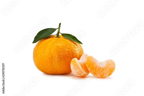 Mandarin orange - Mandarino - Citrus reticulata - isolated  photo