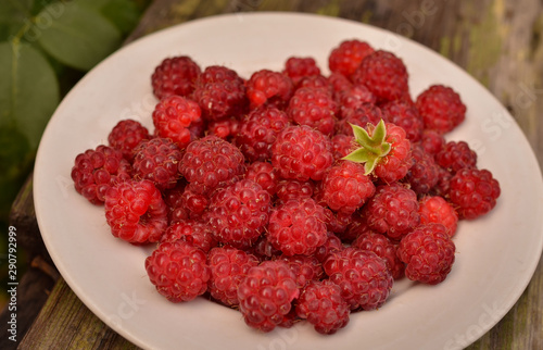 Raspberry berries lie on a wooden bench in the summer garden. Photo taken outdoors and in warm colors. Harvesting raspberries on a farm.