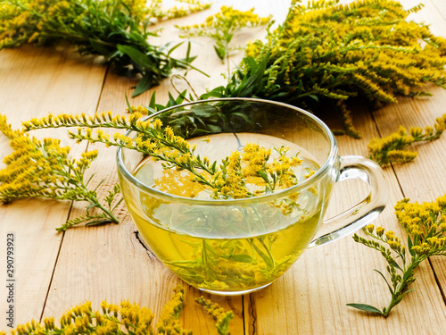 Goldenrod herbal tea photo