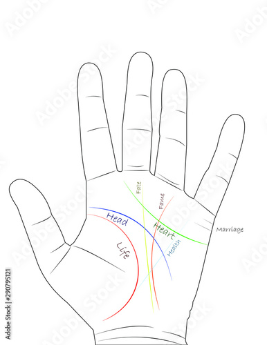 Basic lines with couple lines in palmistry on white background