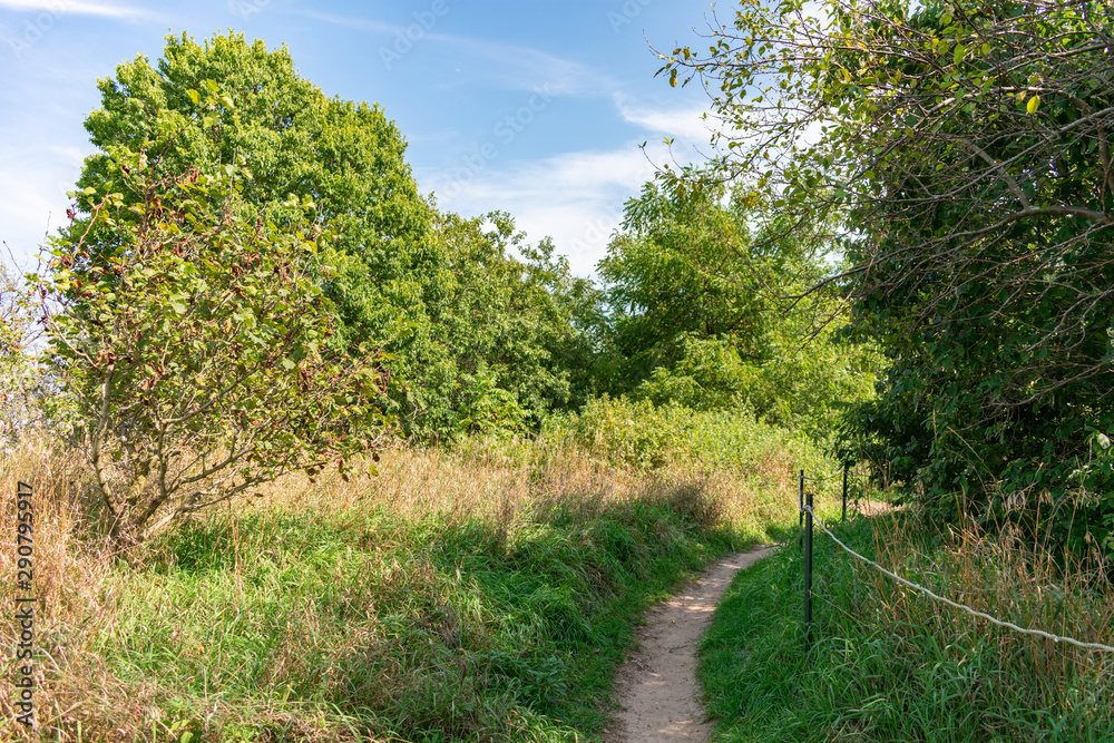 Trail at the Montrose Point Bird Sanctuary in Uptown Chicago Trail at the Montrose Point Bird Sanctuary in Uptown Chicago