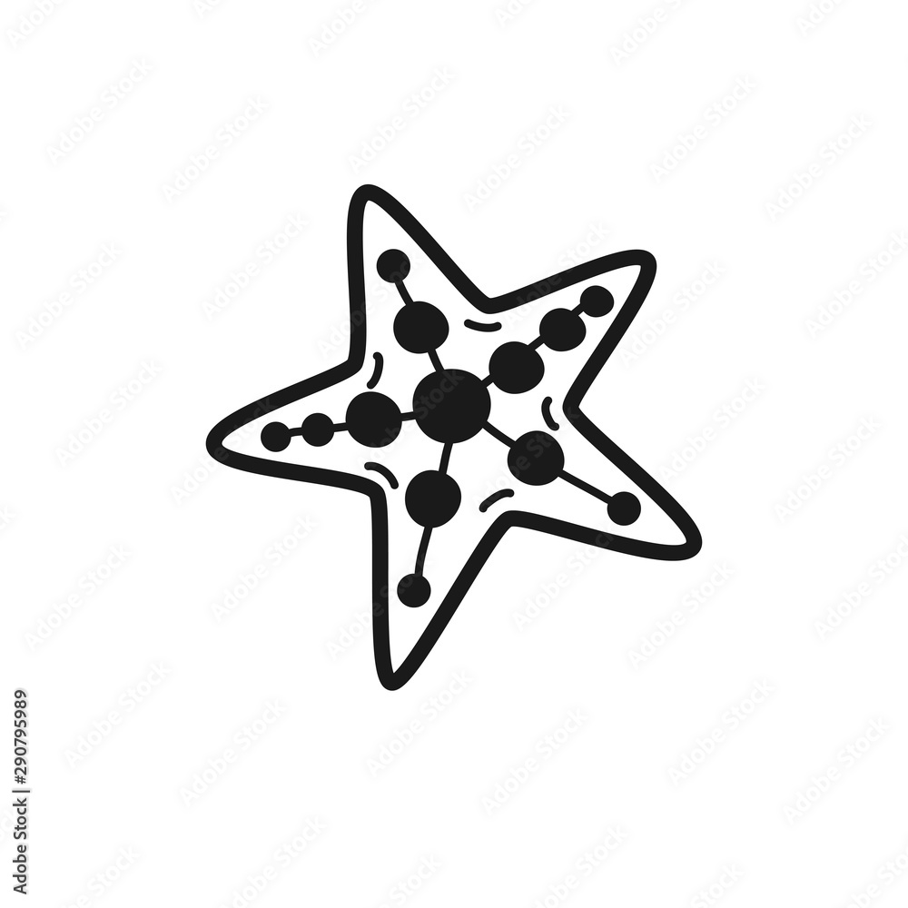 Obraz premium Hand drawn Star Shell isolated on a white. Vector illustration.