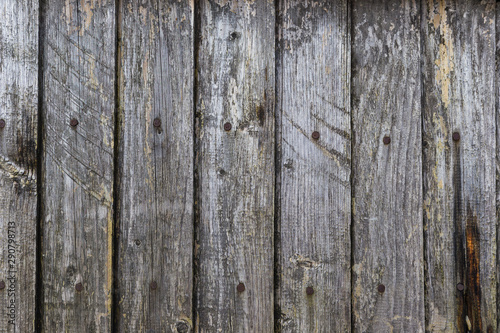 Texture of old wooden boards with nails