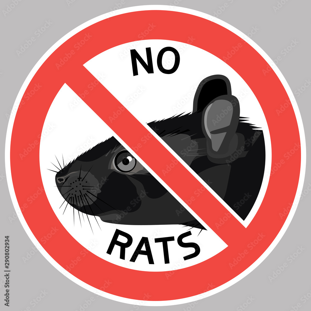 No rats.Sign. Black head of a mammal crossed out in a circle ...