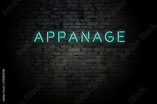 Highlighted brick wall with neon inscription appanage photo