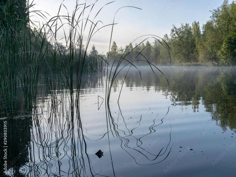 picture from the lake, early morning, water fog, abstract lake grass in the foreground