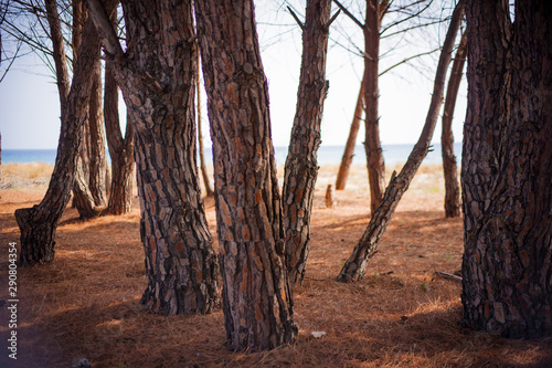 Cardedu - Sardegna