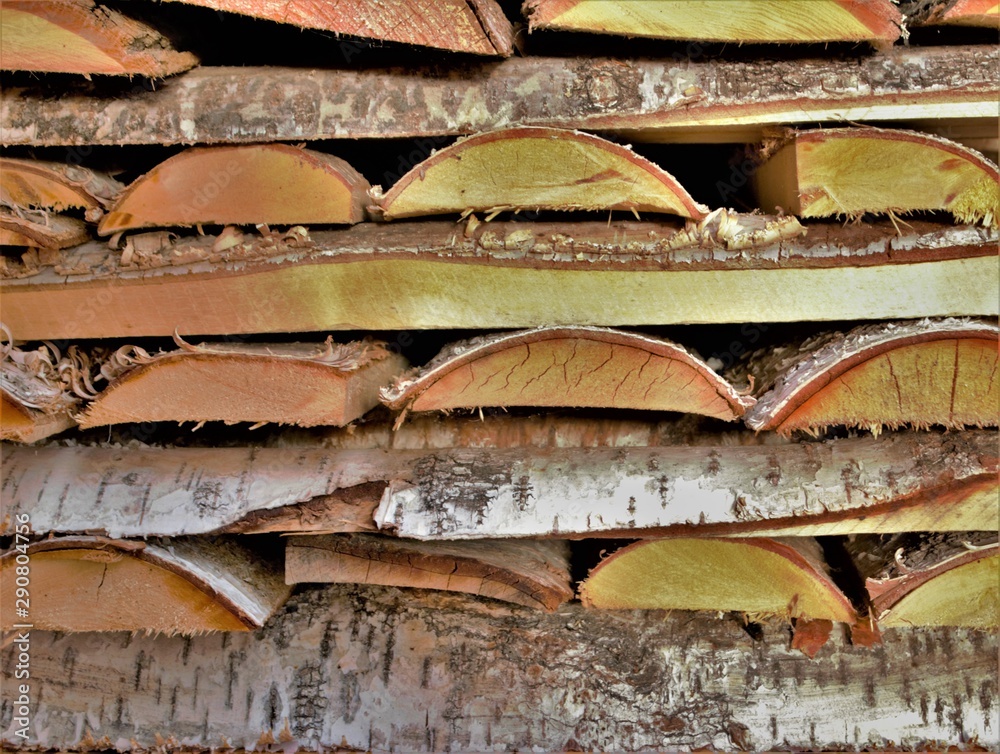 birch wood in the woodpile, the texture of nature