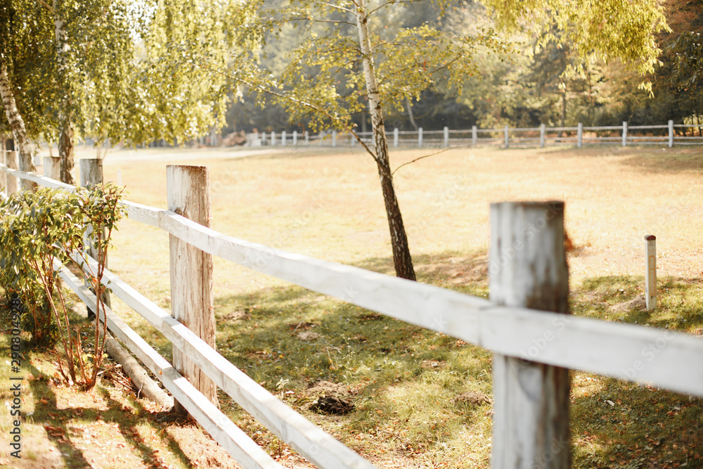 farmyard on a sunny day. White wooden fence in the village. Farm in the fall