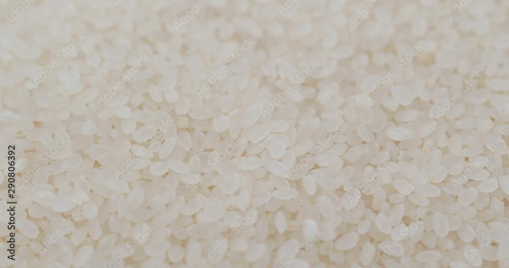 Stack of Rice dried and uncooked Stack of Rice dried and uncooked