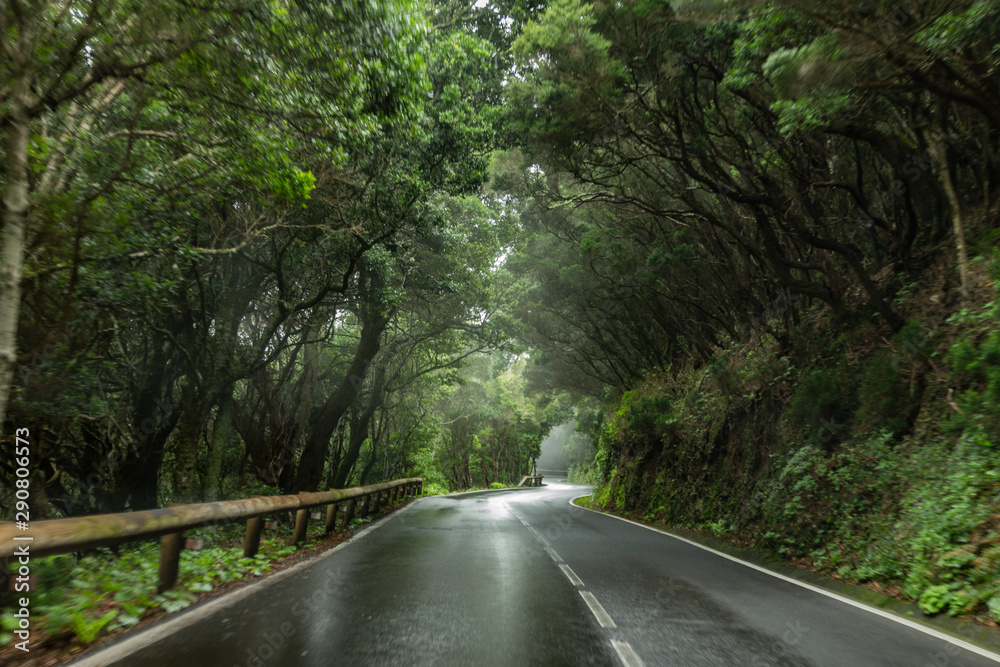 Obraz premium Anaga Tenerife 