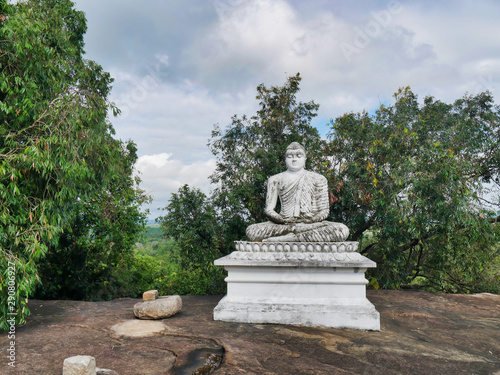 buddha statue in forest