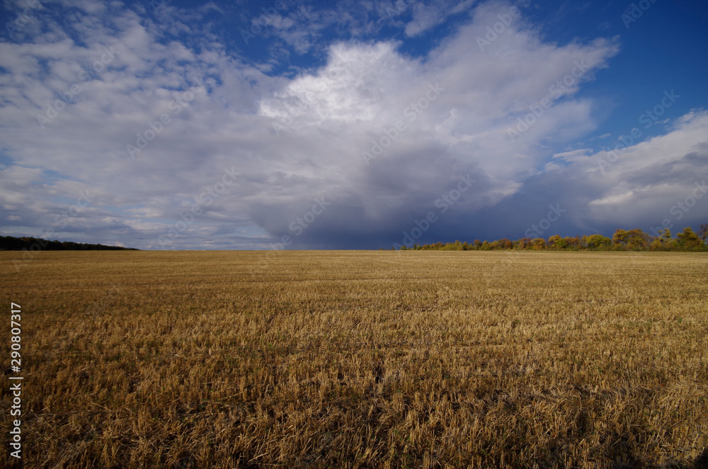 field and blue sky