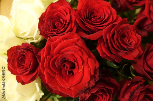 roses
