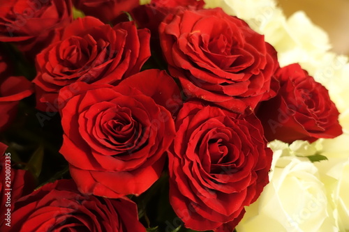 roses