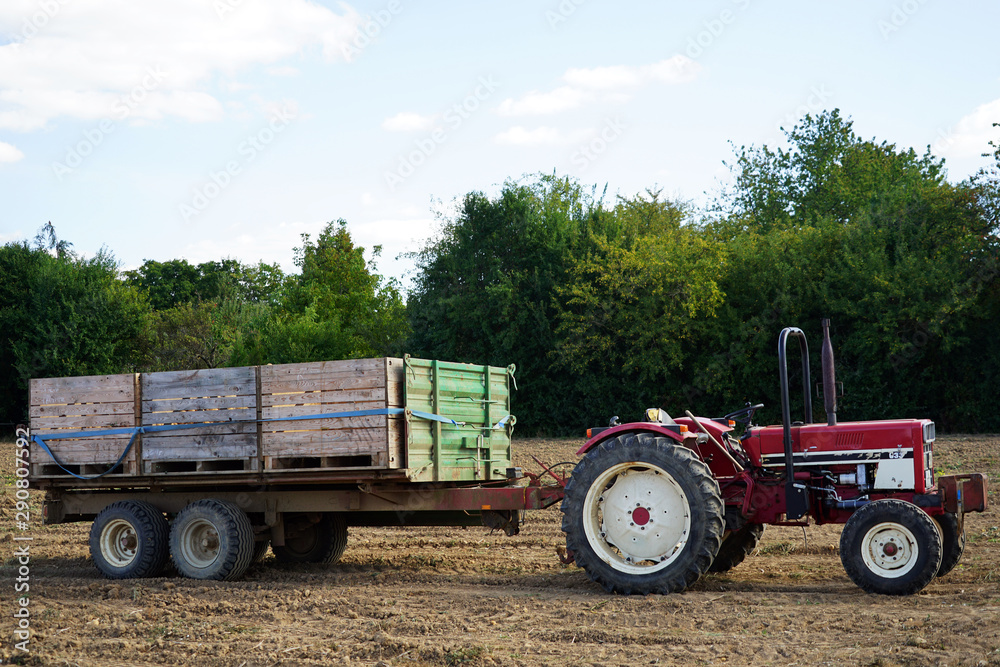 Fototapeta premium Alter Traktor mit Anhänger steht auf dem Kartoffelacker