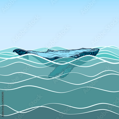 Vector image of a large humpback blue whale. Humpback on the water surface side view. Detailed whale pencil drawing