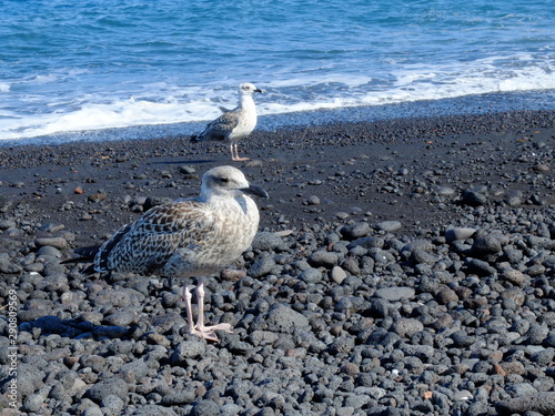 Stromboli - îles Éoliennes photo