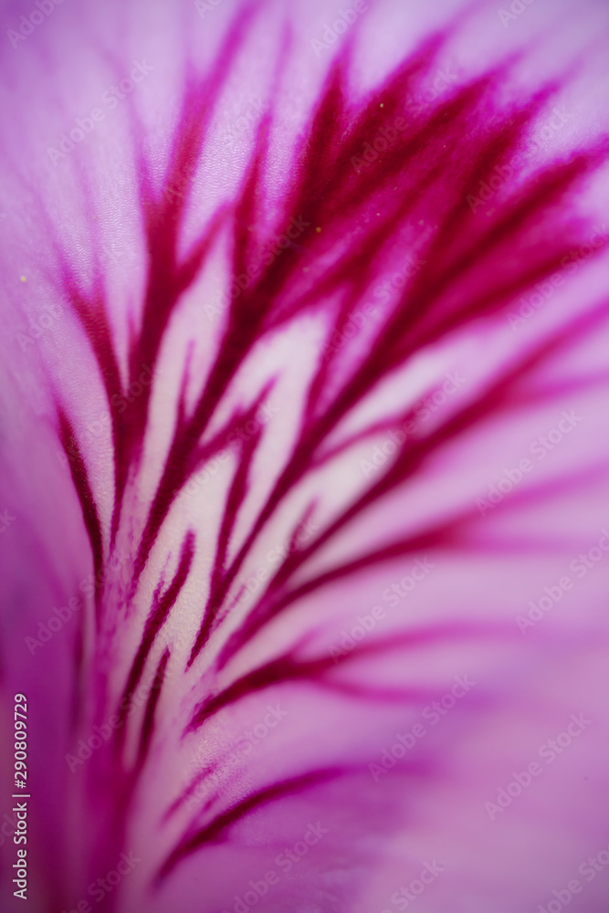 Obraz premium Astratto