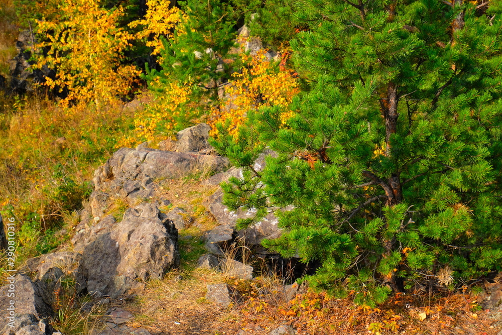 Pulchra colores natura autumnus in Ural Russia