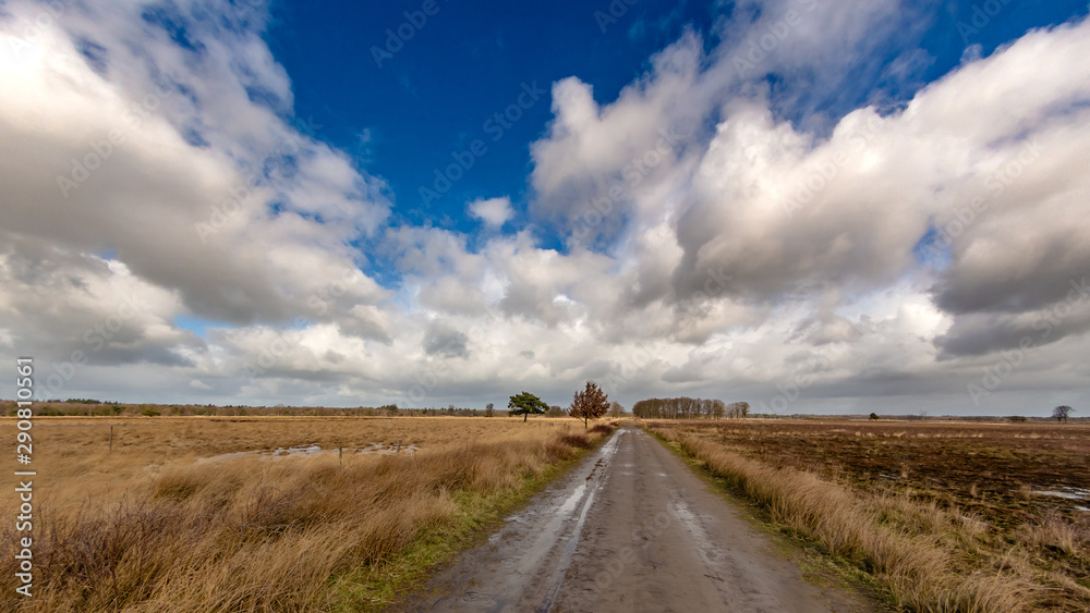 Landscape Dwingelderveld