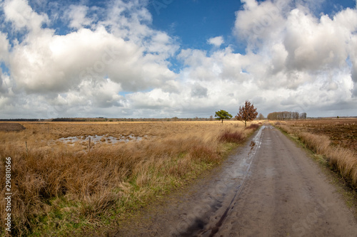 Landscape Dwingelderveld photo