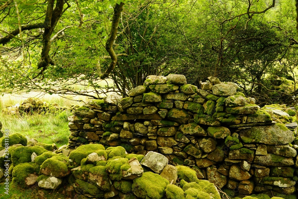 Fototapeta premium Stone Wall Structure in a Rural Pasutre