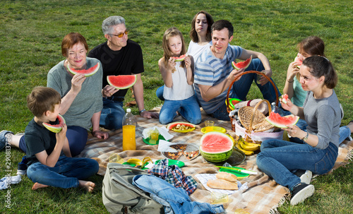 Joyful people sitting and talking on picnic © JackF