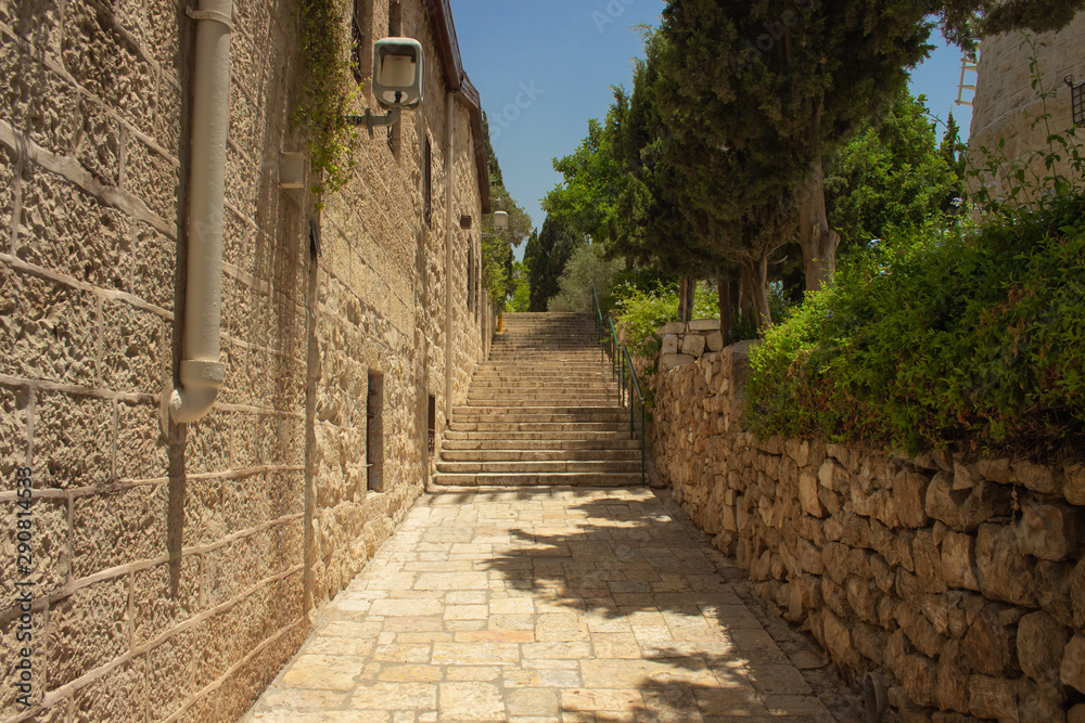 old street walking passage stone buildings and garden green bushes landmark view