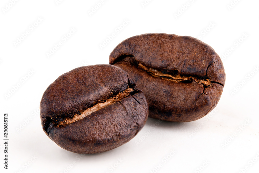 two coffee beans on a white isolated background close-up two coffee beans on a white isolated background close-up