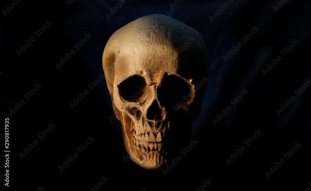 Calavera artificial Calavera artificial