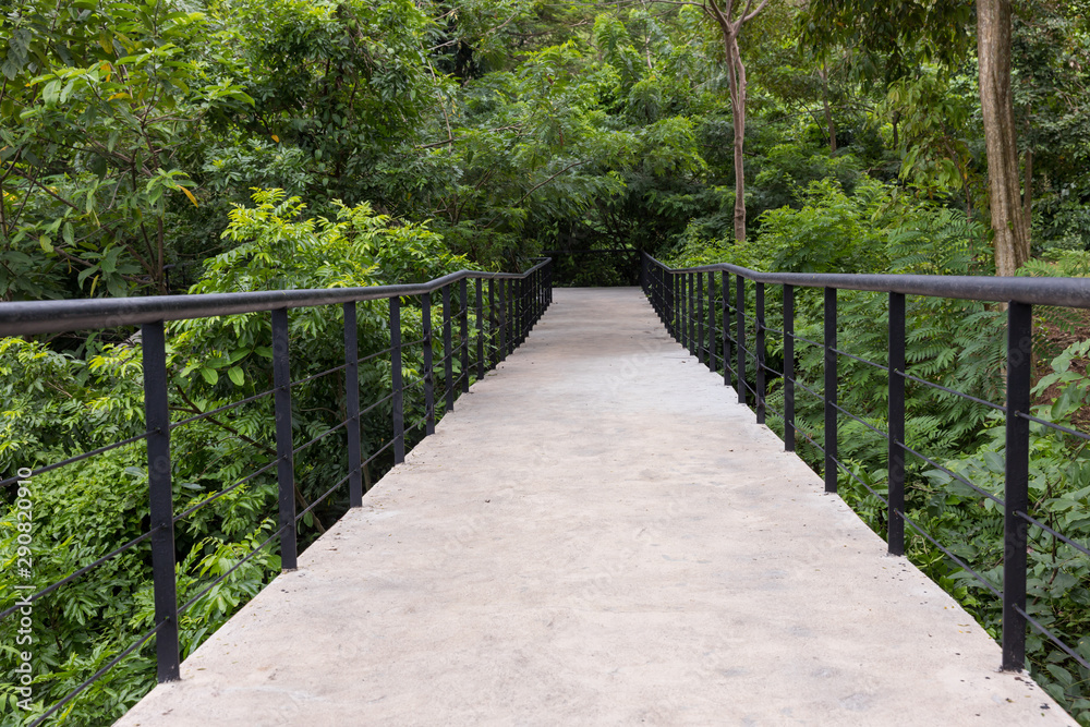 Cement bridge to the jungle.Cement-built bridge For  forest walkways