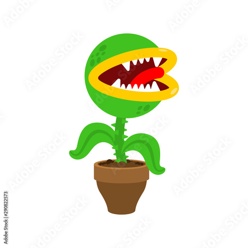 Flytrap in pot. Flower predator Carnivorous plant. Angry Flowers with Teeth